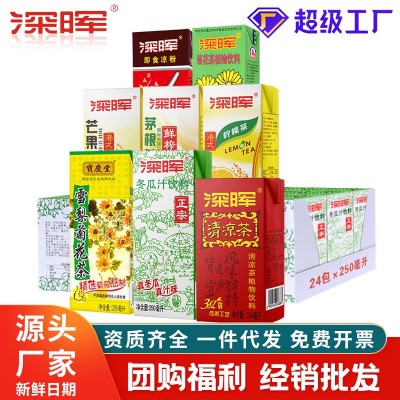 广东凉茶饮料批发250ml*24盒装果汁饮品冰红茶整箱包邮深 晖菊花茶 1件 33