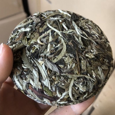 云南景谷秧塔古树月光美人白贡茶叶浓香型普洱茶生茶100g白茶饼茶