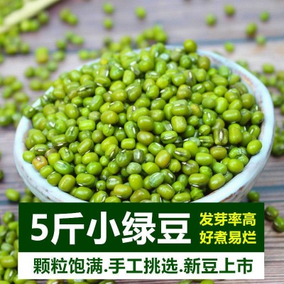 绿豆新货 农家自产小绿豆去皮脱皮绿豆糕饼绿豆汤原材料新鲜豆芽